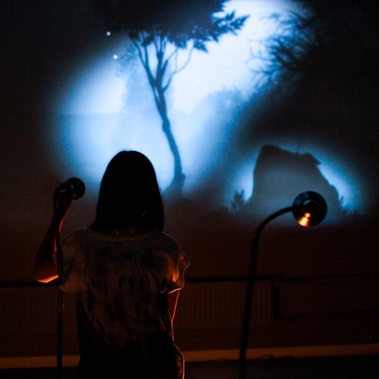 VLES — Interactive Light Installation